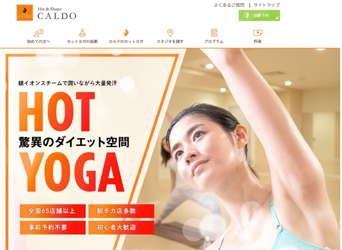 �J���h�����T�C�g�̃L���v�`���摜