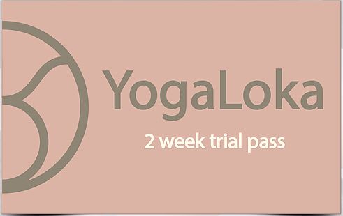 2�T�Ԃ������ʂ�����