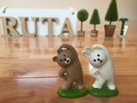 Yoga Space Ruta�̃X�^�W�I